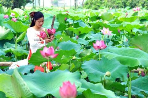 MỘT LẦN VỀ HƯNG YÊN