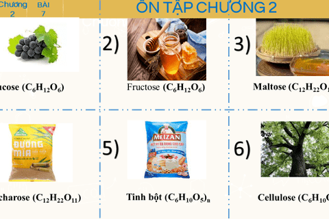 ĐỔI MỚI PHƯƠNG PHÁP DẠY - HỌC THÔNG QUA TIẾT DẠY ÔN TẬP CHƯƠNG II CARBOHYDATE - HOÁ HỌC 12